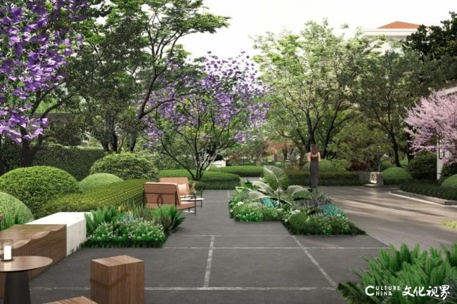 20251028102551580052.jpg 50.jpg