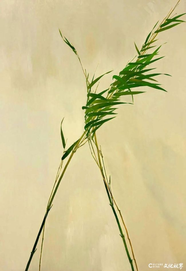 20251028110327169664.jpg 12~1.jpg