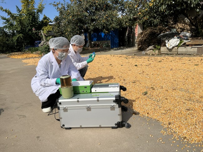 威海一高校研发玉米“解毒”新技术