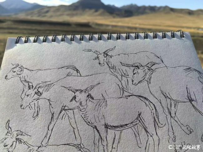 20251101152636505501.jpg 8~1.jpg