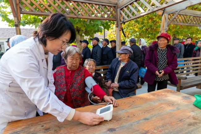 区市委书记访谈|刘瑛:全面融入“中国康湾”建设进程