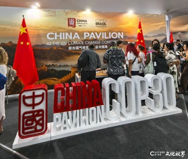 玲珑轮胎董事长王锋作为代表参加联合国气候变化大会，并做主题演讲