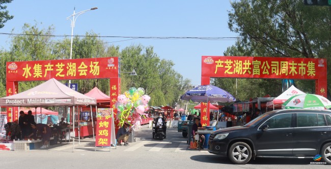 水集街道“四大路径”奏响城乡共富音