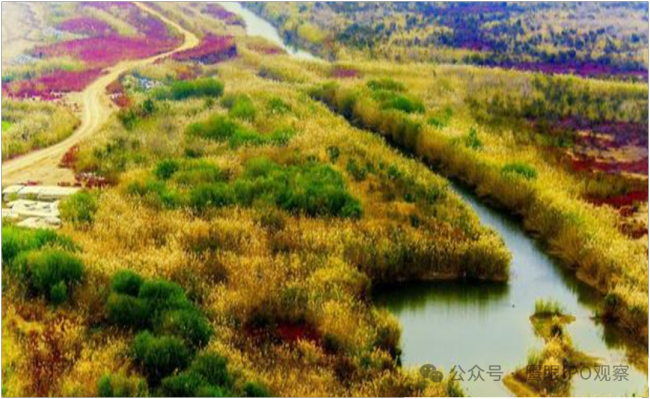 因在私募投资基金业务中存在多项违规行为，黄河三角洲投资被责令整改