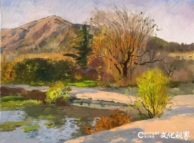 20251117152641376409.jpg 12.jpg