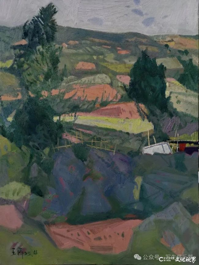 20251120104800966344.jpg 29.jpg