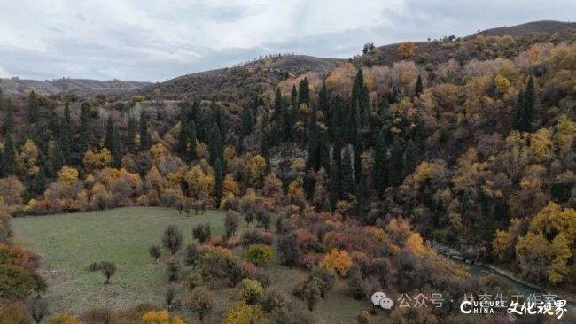 20251120102446781884.jpg 26.jpg