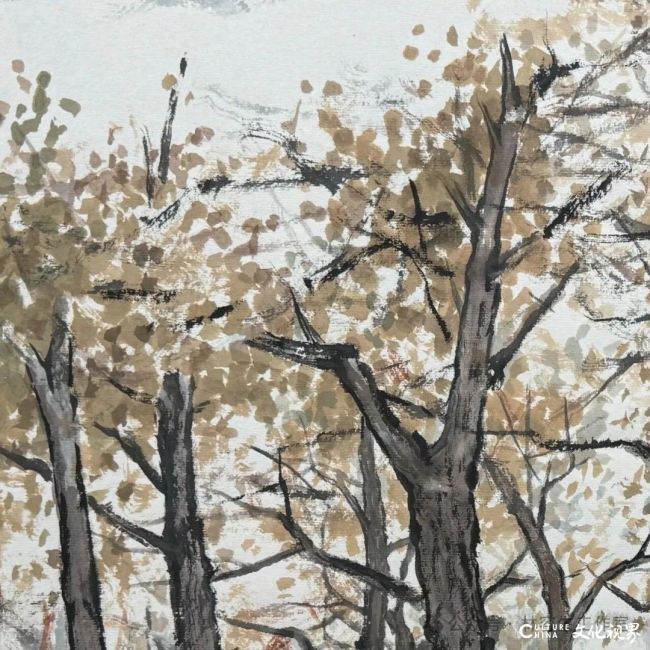 20251120103057777498.jpg 73.jpg