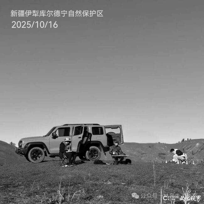 林容生·新疆伊犁写生丨秋绘疆野,水墨尽辽阔