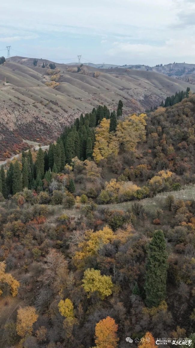 20251120102610385194.jpg 36.jpg