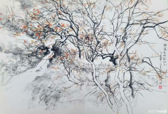 20251120094156421062.jpg 8.jpg