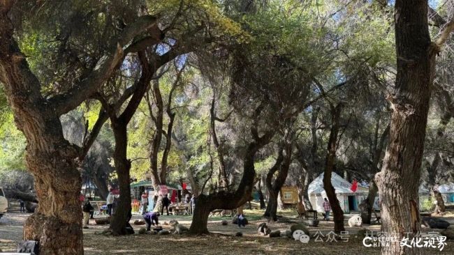 20251120103321379977.jpg 90.jpg