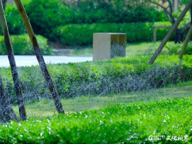 20251209140408410497.jpg 5-47.jpg