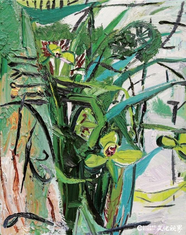 20260102115513582394.jpg 31.jpg