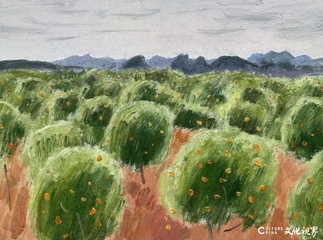 20260107095142417768.jpg 13.jpg