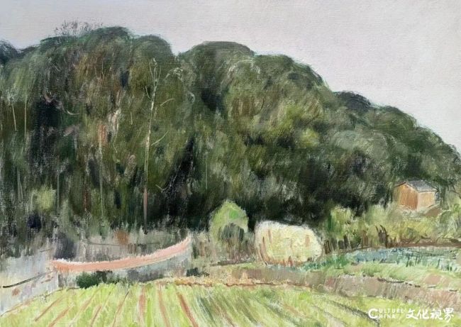 20260107095115443843.jpg 9.jpg