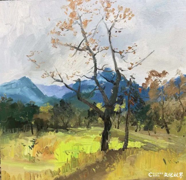 20260109102500638174.jpg 9.jpg