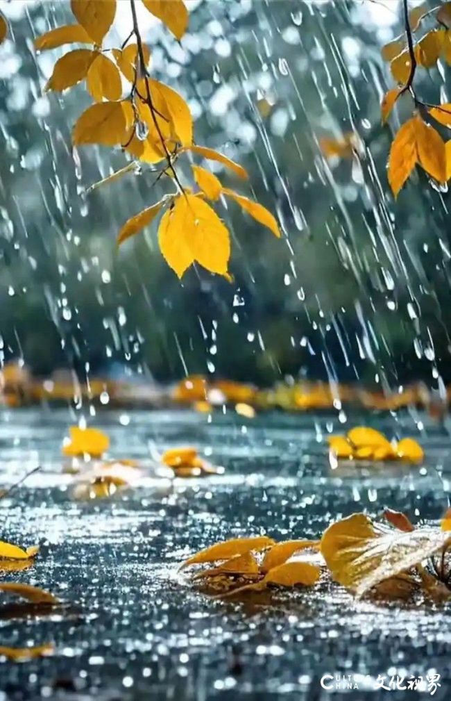 20260112161928358620.jpg 13.jpg