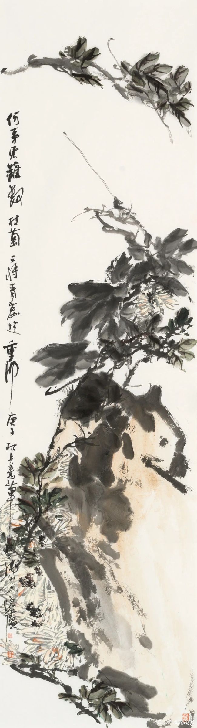 20260118110505621916.jpg 84.jpg