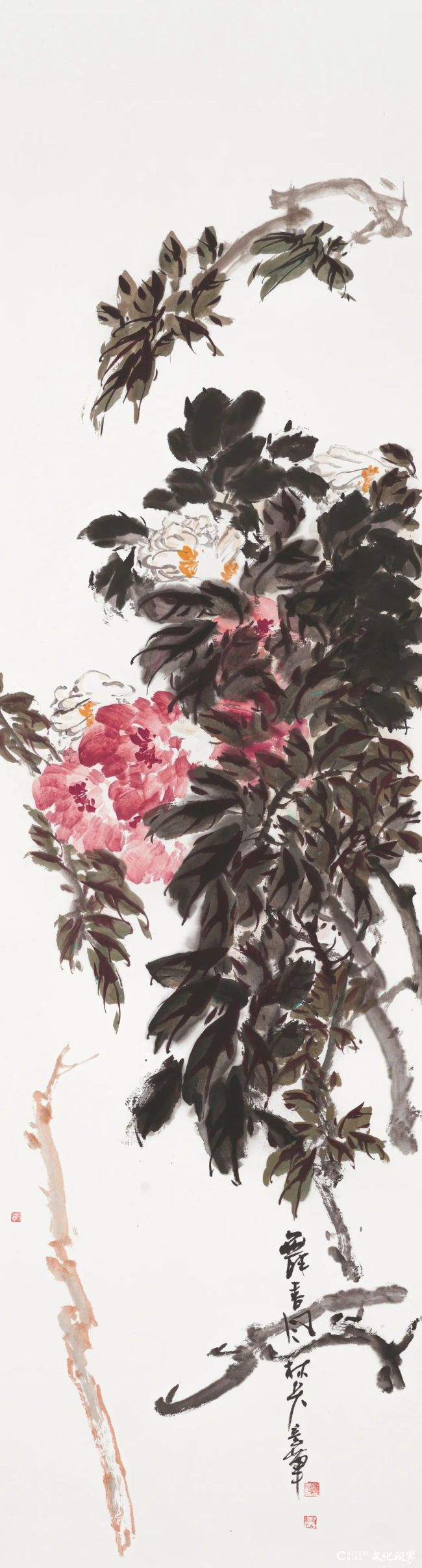 20260118110423905088.jpg 78.jpg