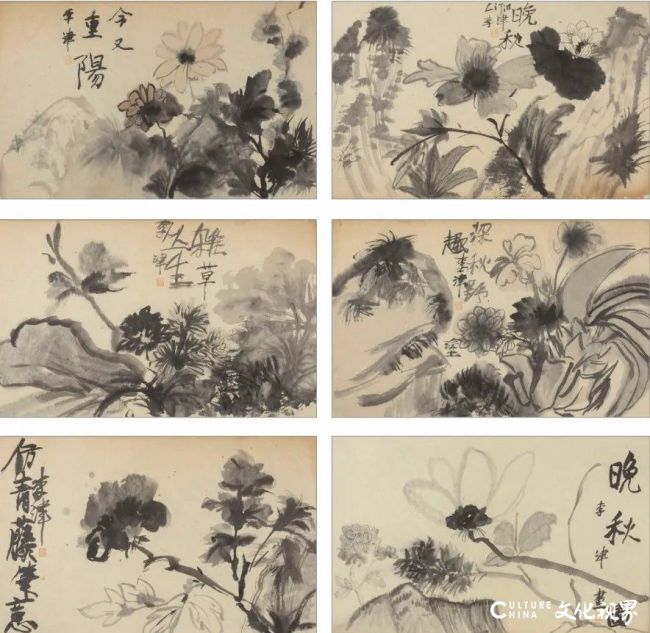 20260119113028580587.jpg 111.jpg