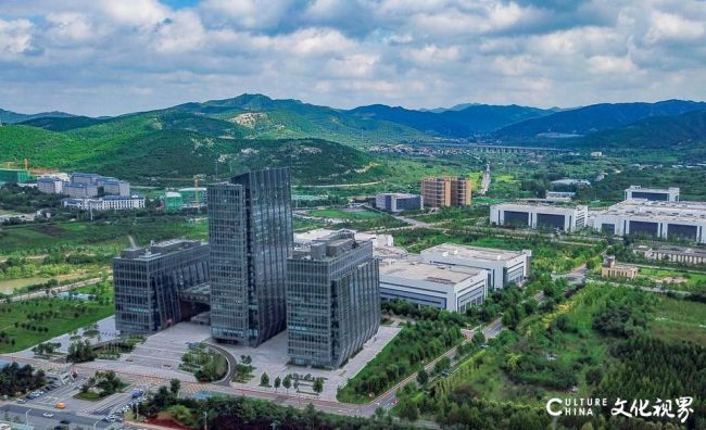 以绿为脉，向心而行——齐鲁制药“生命共生”的实践答卷