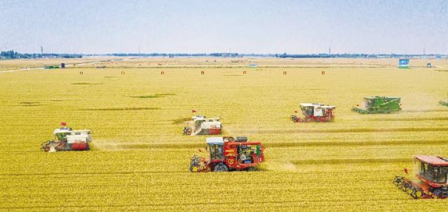 202601271769477098426260.jpg fcb058c7c3624978515f3b61288d2e76.jpg