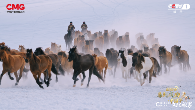 20260216092857719194.png 8.png