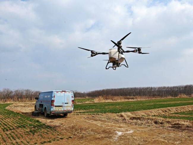 青岛西海岸新区：农技专家下田“开方”助壮苗