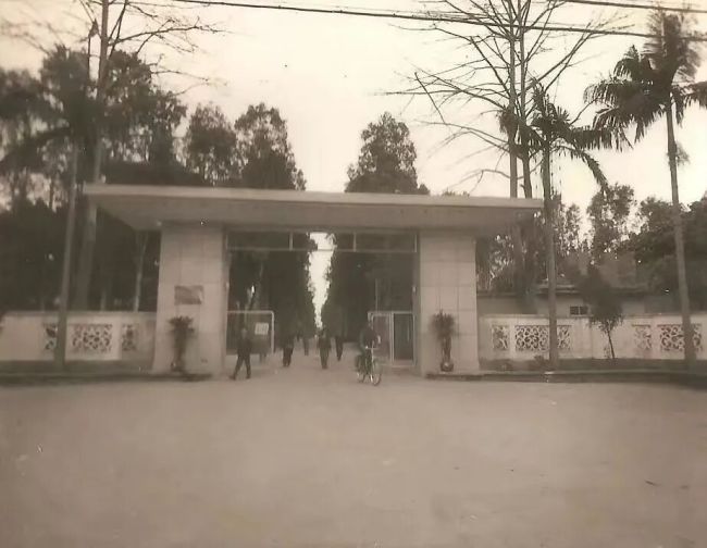 方土：在珠影的那六年，我的眼界被生生打开，变得宽阔、自由、不拘一格