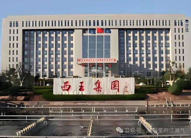 靠一桶玉米油数登山东首富，如今2.07亿股将被强制拍卖——西王集团董事长王勇盲目跨界毁基业