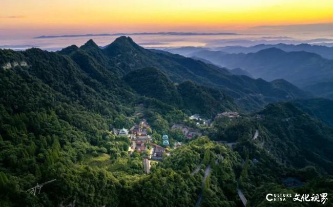 杨青山丨道养三法：以心法为统领，功法与疗法协同融合