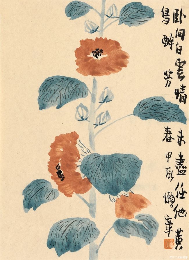 山葵花27.5-20cm2024年.jpg
