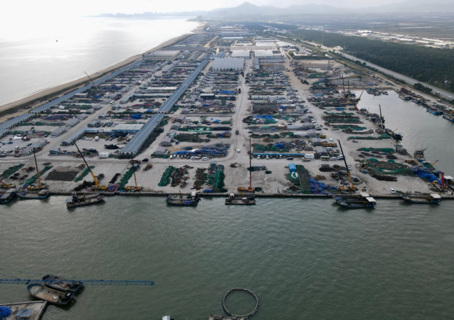 向海图强看担当，从“大而不强”到“全链跃升”：威海这样“链”起百亿牡蛎产业