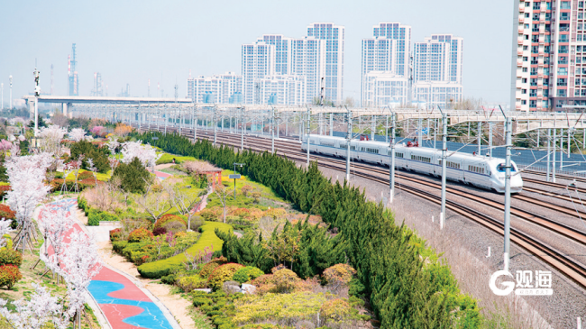扮靓“第一窗口”，进出青岛再增风景线