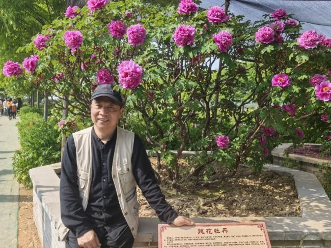 魏怀亮 | 正是曹州四月天——菏泽写生随记