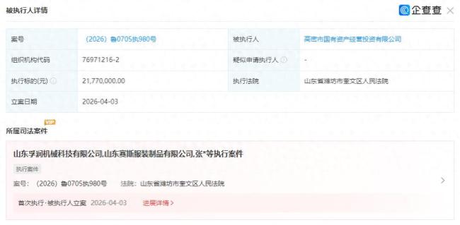 再成被执行人！潍坊高密市国有资产经营投资有限公司涉两起执行案件，标的合计近2400万元