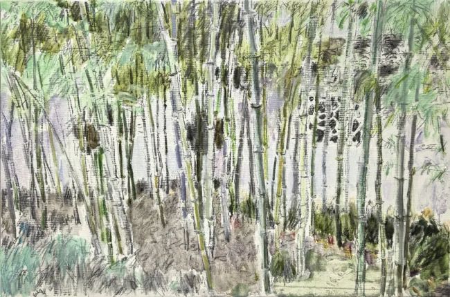 “我们走进文徵明的园子——张淳绘画作品展”丨范迪安：张淳的澄怀心境与意象生成