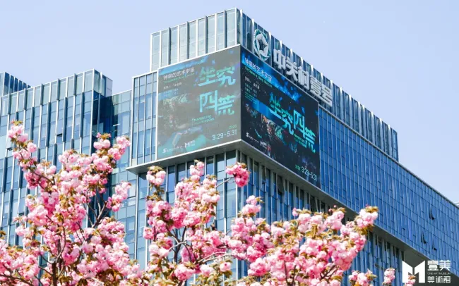 WU__2831.JPG