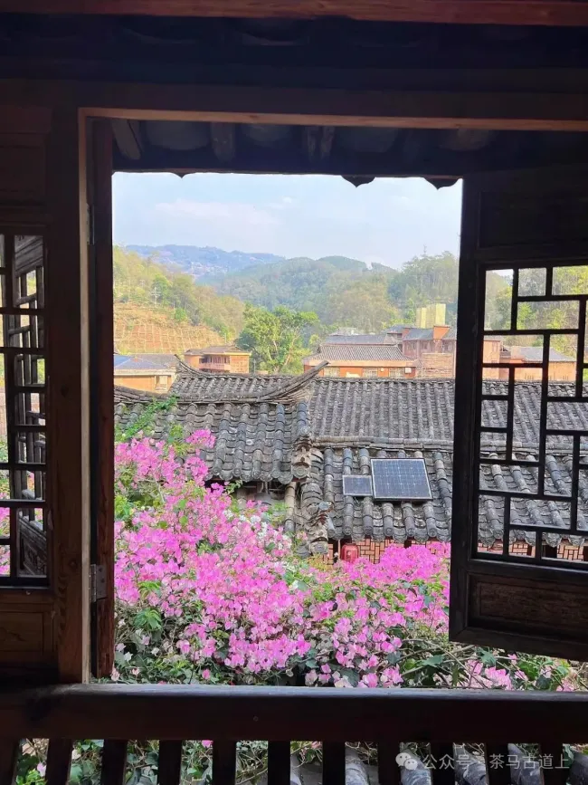 马悦英丨滇南行记：一路山水一路温情