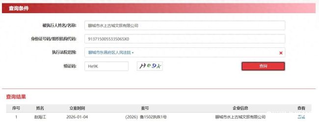 聊城市水上古城文旅有限公司及法定代表人被下达限消令，市属国企旗下企业陷入债务欠税双重困境