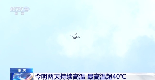 在全国多地“上蒸下烤”的模式中,为期40天的三伏天今日“火热”开启
