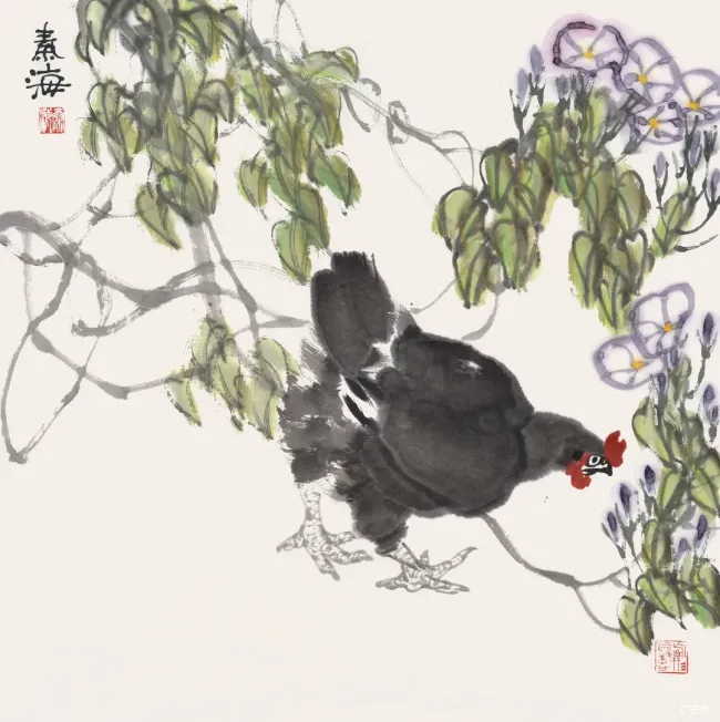 图片
