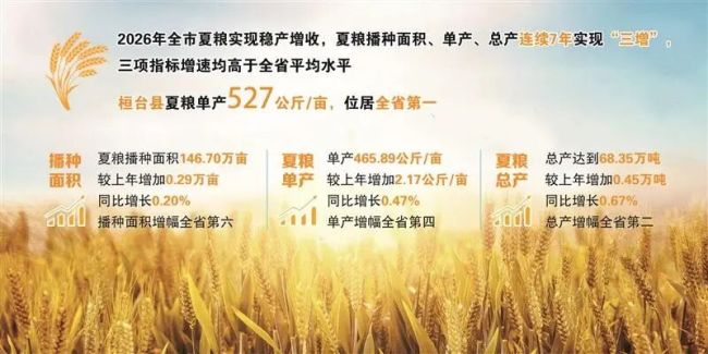 逆势夺丰收！淄博夏粮连续7年实现播种面积、单产、总产“三增”