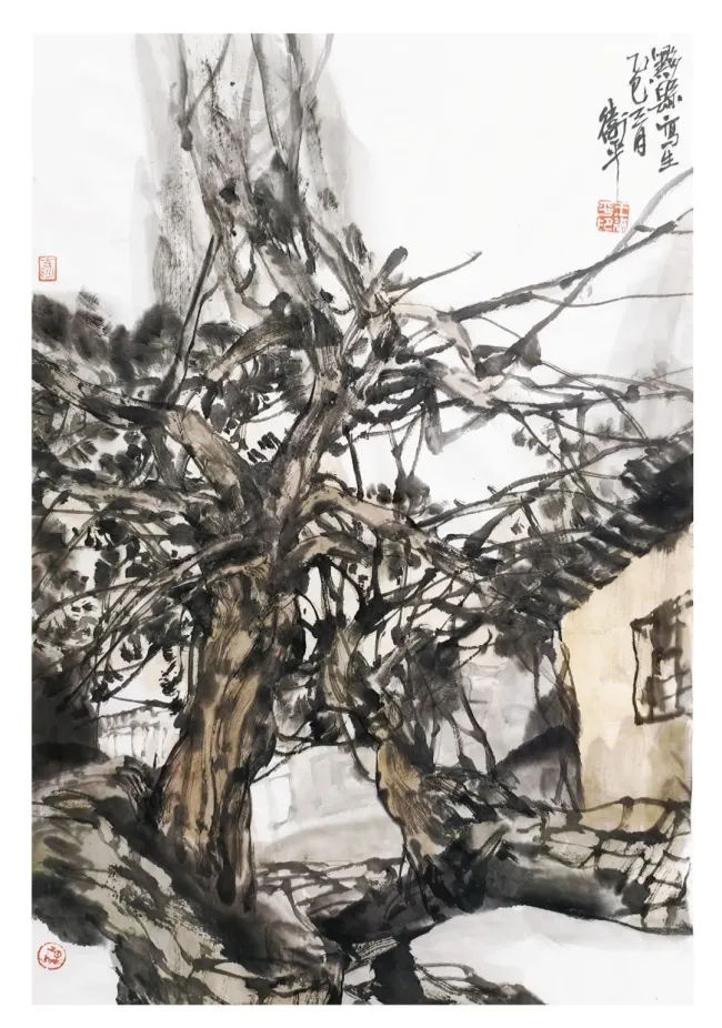 图片