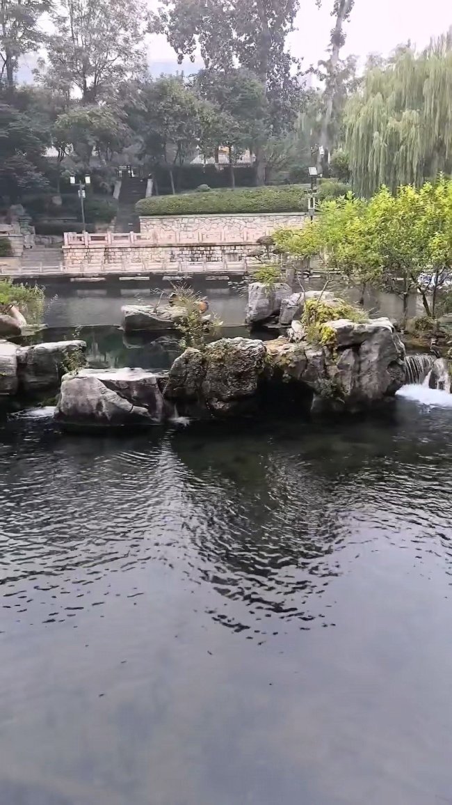 护城河畔藏小众秘境!风光绝美的五莲泉,为何落选济南七十二名泉名录?