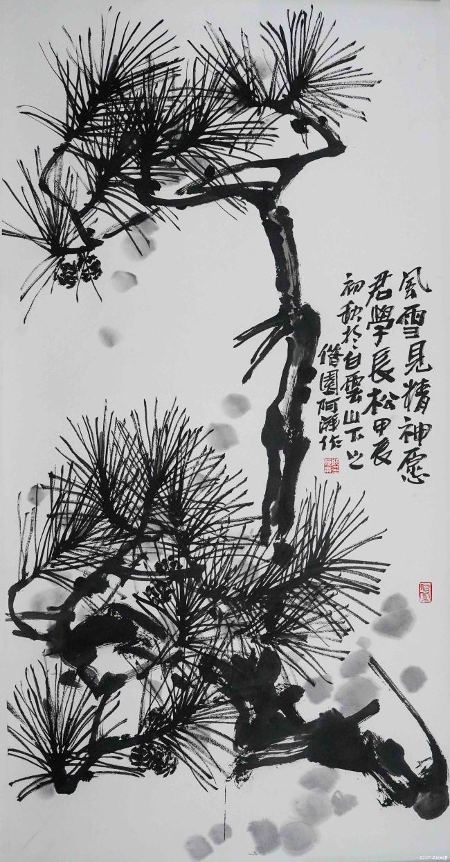  郑阿湃.JPG