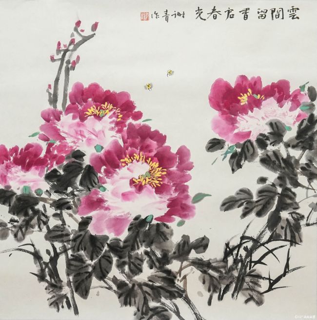 谢青.JPG