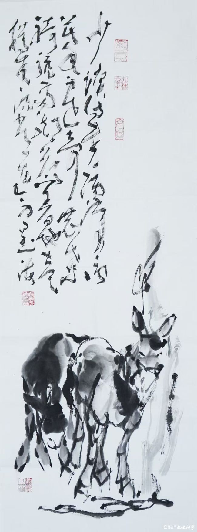 微信图片_20260911091432_3808_2.jpg