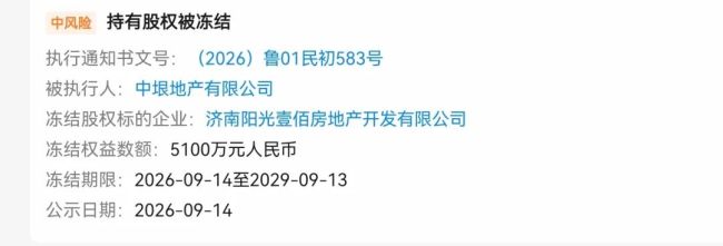 山东健康集团旗下中垠地产所持济南阳光壹佰5100万元股权被冻结